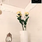 Kleine Sonnenstrahl-oase