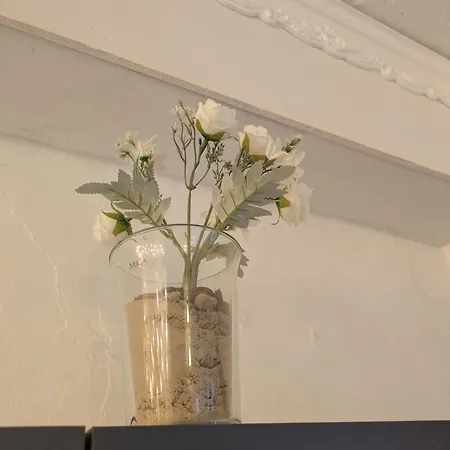 Kleine Sonnenstrahl-oase Апартаменты