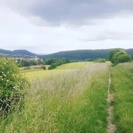 Kleine Sonnenstrahl-oase Апартаменты Frielendorf
