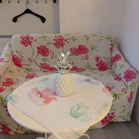 Kleine Sonnenstrahl-oase * Frielendorf