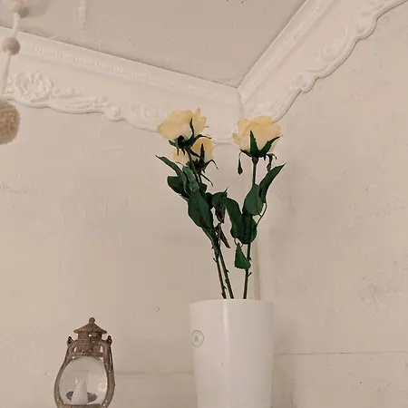 Kleine Sonnenstrahl-oase Апартаменты *