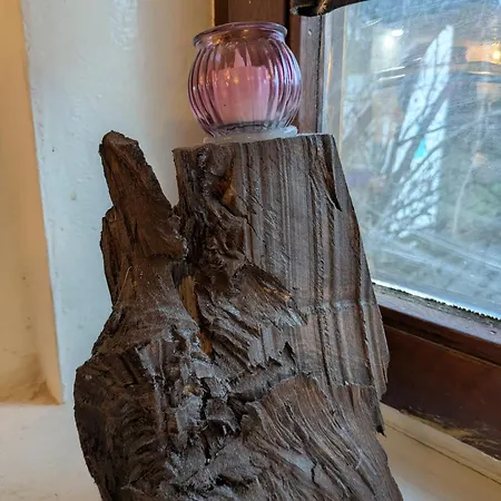 Kleine Sonnenstrahl-oase *