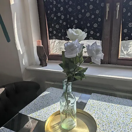 Kleine Sonnenstrahl-oase