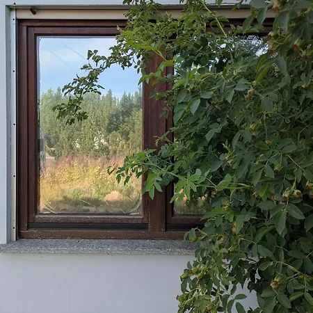 Kleine Sonnenstrahl-oase Апартаменты