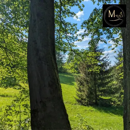 Kleine Sonnenstrahl-oase Lägenhet Frielendorf