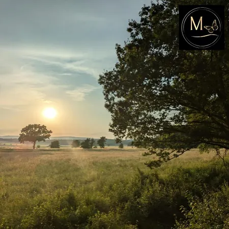 Kleine Sonnenstrahl-oase * Frielendorf
