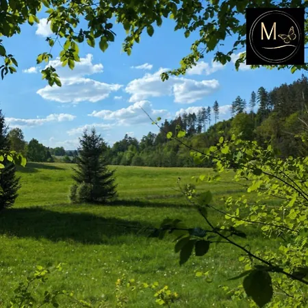 Kleine Sonnenstrahl-oase * Frielendorf