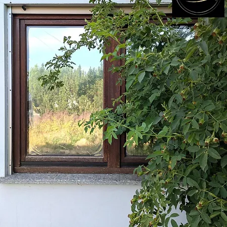 Kleine Sonnenstrahl-oase Lägenhet *