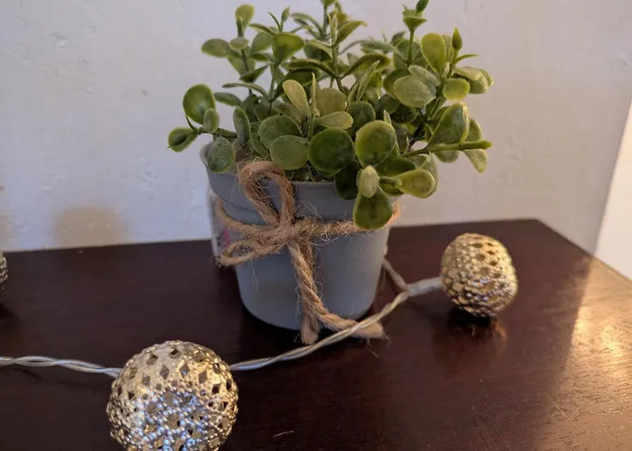 Kleine Sonnenstrahl-oase *