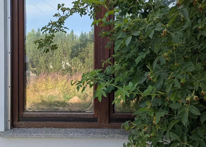 Kleine Sonnenstrahl-oase דירה