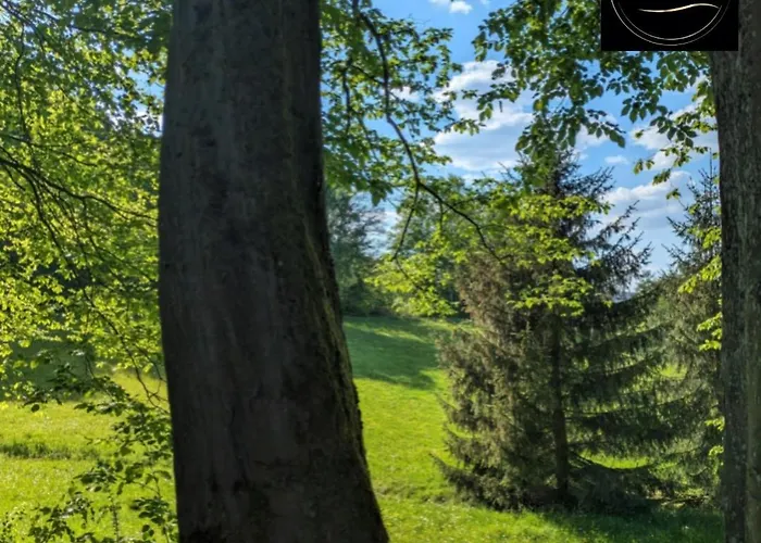 Kleine Sonnenstrahl-oase Appartement Frielendorf