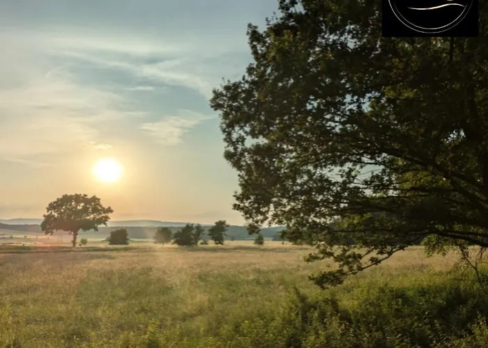 Kleine Sonnenstrahl-oase * Frielendorf
