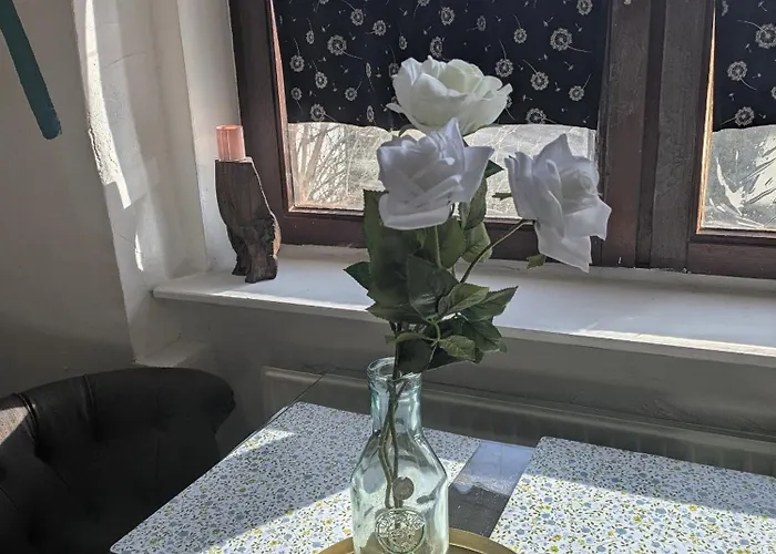 Kleine Sonnenstrahl-oase *