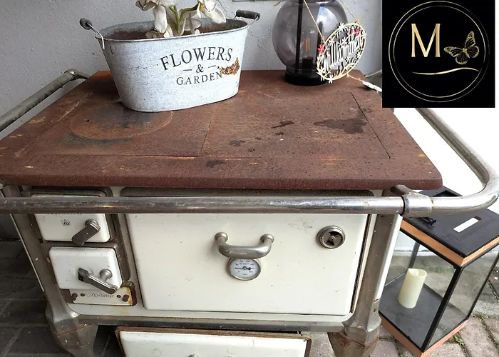 Kleine Sonnenstrahl-oase *