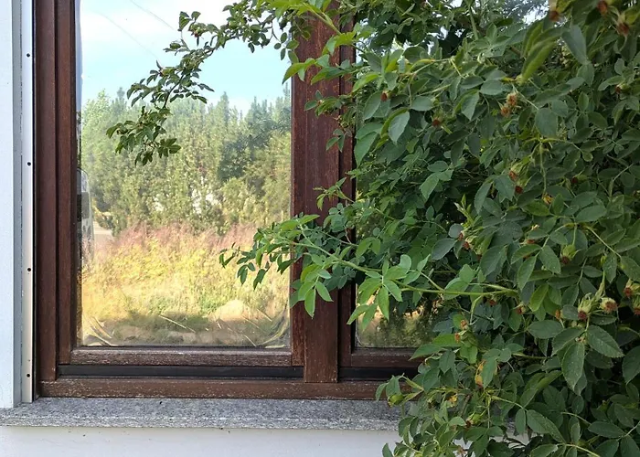 Kleine Sonnenstrahl-oase Appartement *