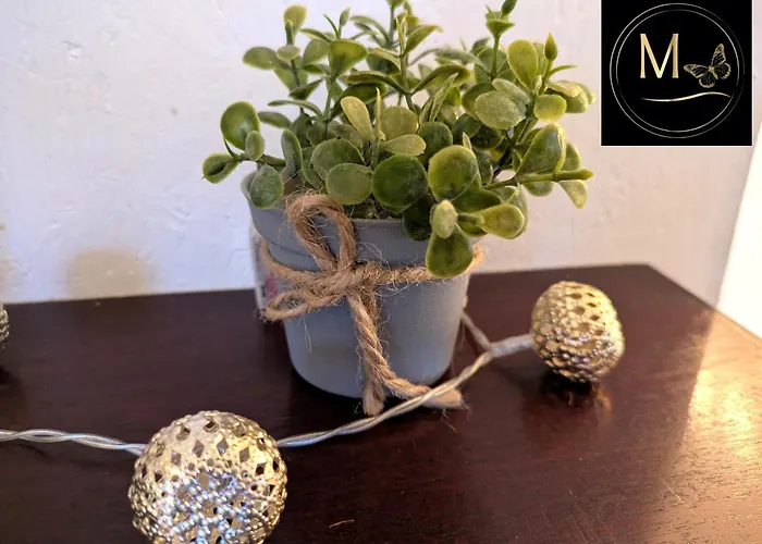 Kleine Sonnenstrahl-oase