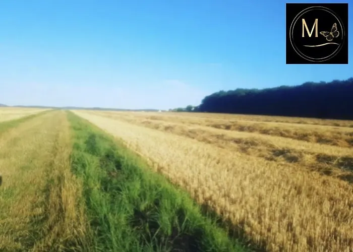 Kleine Sonnenstrahl-oase *