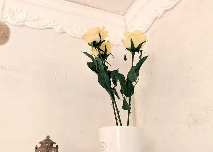 Kleine Sonnenstrahl-oase