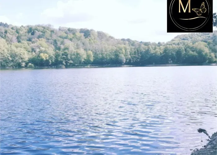 Kleine Sonnenstrahl-oase Appartement *